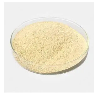 1-Bromoisoquinoline CAS#1532-71-4